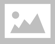 IMAG4010|PKST SHAWLS|004